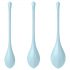 Satisfyer Yoni Power 2 - Set Gua Sha Bleu (3 pezzi)