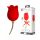 Pretty Love Rose Lover - vibratore clitorideo 2in1 con lingua (rosso)