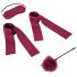 S&M - Kit legatura satin per principianti (rosso) - 4 pezzi